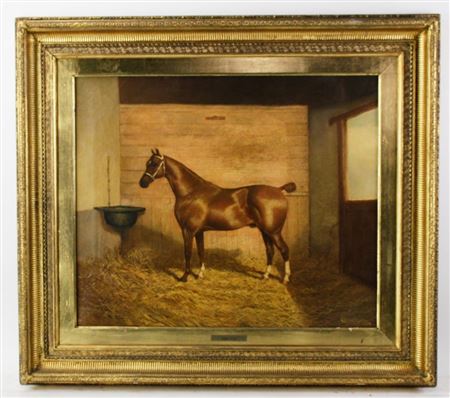 Race Horse