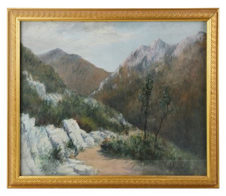 Mountain Road Scene
