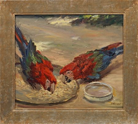 Two macaws feeding