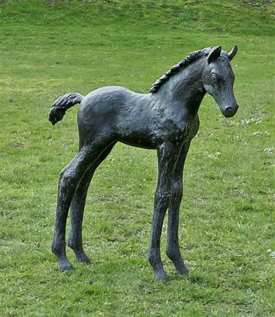Large standing foal