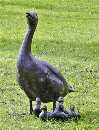 Duck family with five chicks