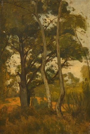 Landscape with trees, study.