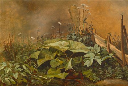 Coltsfoot shrub and grasses before a wooden fence.