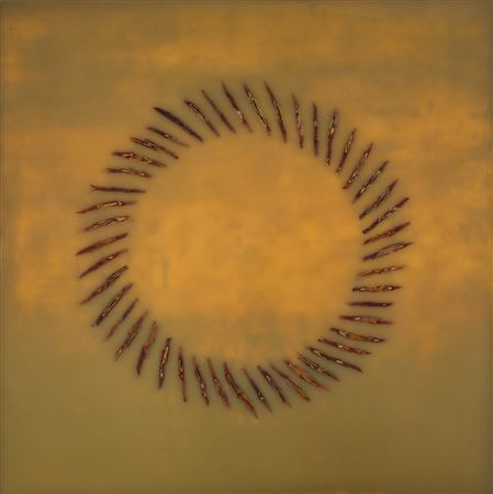 Circle Dream #12