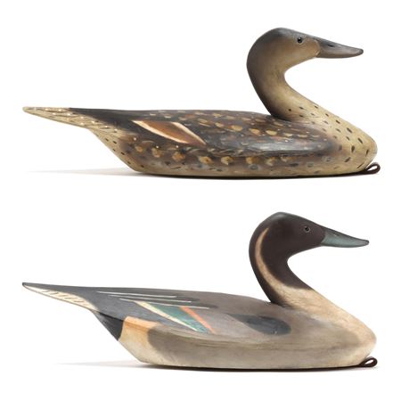 Pair of Oversized Pintails