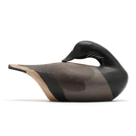Preening Brant