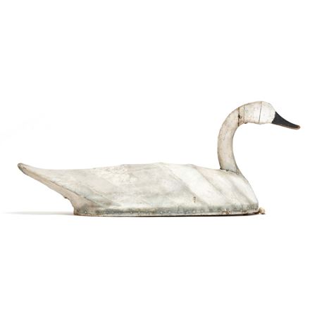 Swan