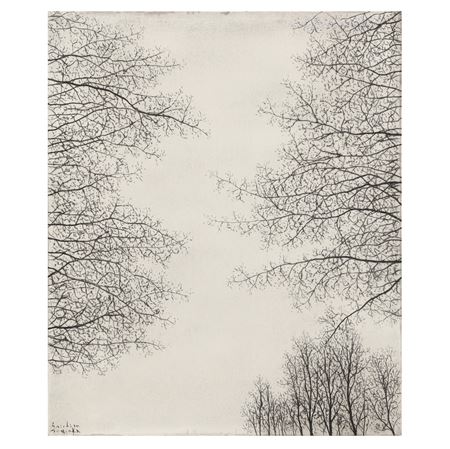 Snow Country