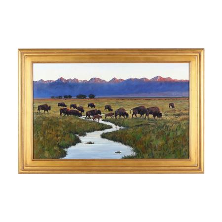 Where the Buffalo Roam