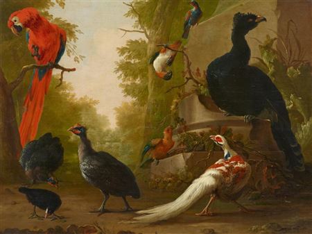 A Red Macaw, Guinea Fowl, a Silver Pheasant and other Exotic Birds in a Park