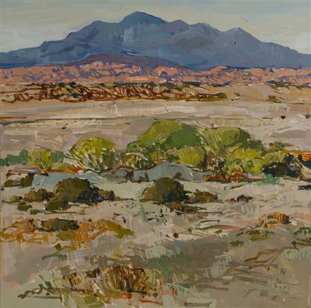 'Galisted No. 29'