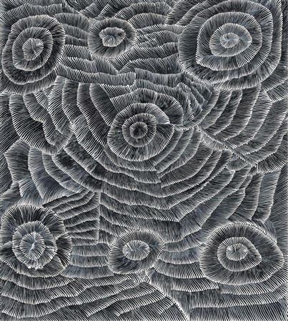 Alhwert Dreaming, 2000 by Lily Sandover Kngwarreye - Auction record, sale price, and art valuation. Compare with similar artists and explore comparable artworks.