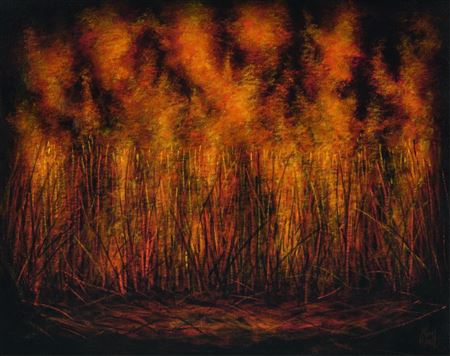 Bush Fire by Kym Hart - Auction record, sale price, and art valuation. Compare with similar artists and explore comparable artworks.
