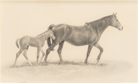 Mare and Foal