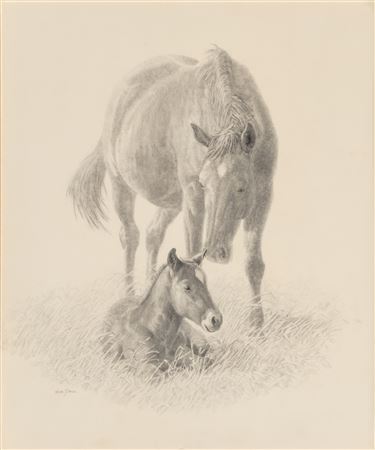 Mare and Seated Foal