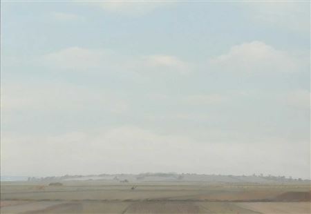 Coveney Fields II by Anthony Day - Auction record, sale price, and art valuation. Compare with similar artists and explore comparable artworks.