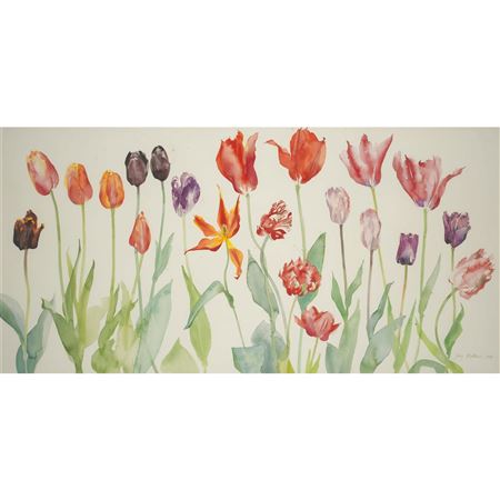 TULIPS FROM BONALY