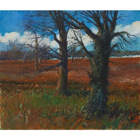 WINTER FIELDS