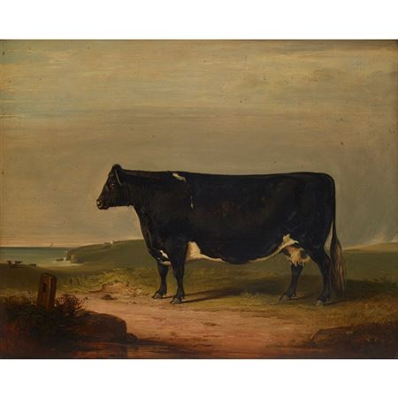 STUDY OF A PRIZE COW ON A CLIFF-TOP