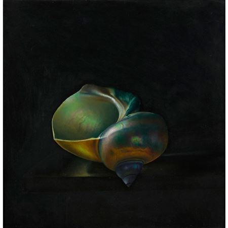 THE TURBAN SHELL - 1986