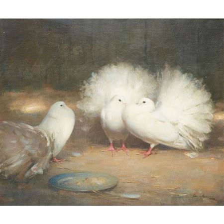 FAN-TAILS