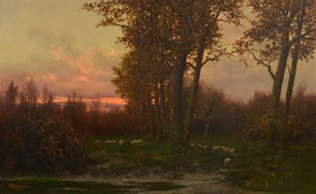 Pasture at sunset