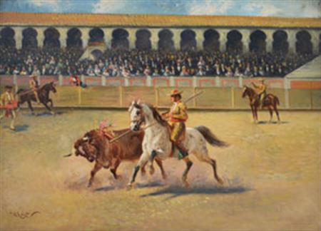 Bullfighting