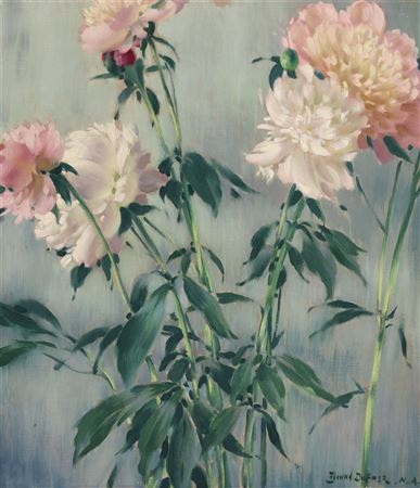 ''Pink and White Flowers''