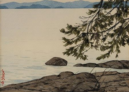 Shoreline View