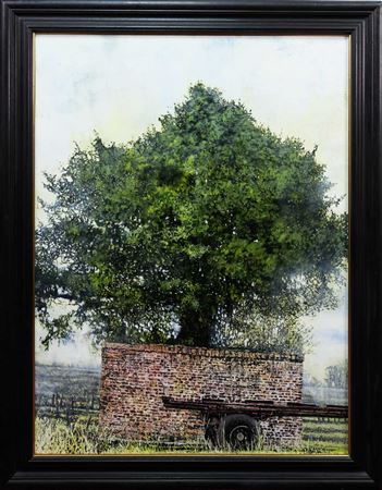 ELIZABETH'S TREE