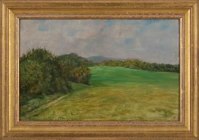 Landscape near St. Veit