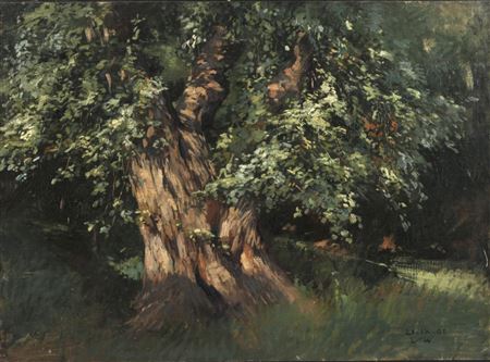 Waldinneres