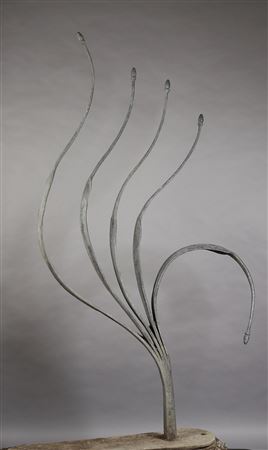 Leaf forms