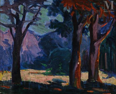 Landscape through the trees