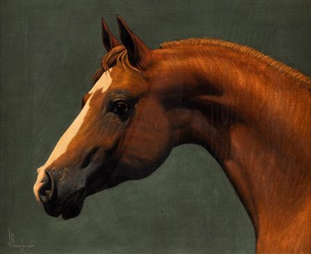 Horse Head