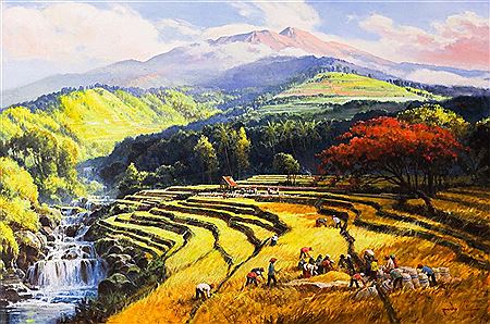 Dieng's Great Harvest (Panen Raya Dieng), 2022
