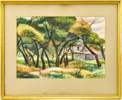 OKLAHOMA LANDSCAPE