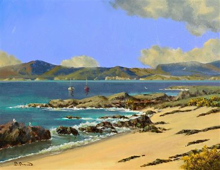 Wild Iona
