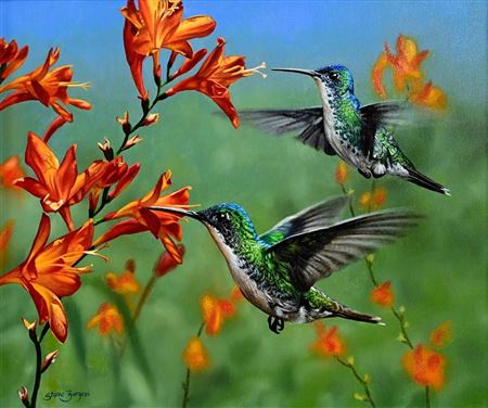 Andean Emeralds (2024)