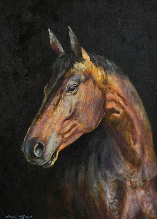 Horse Study