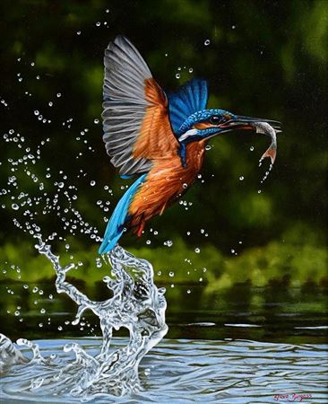 Gone Fishin'