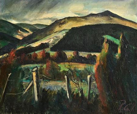Wicklow Landscape