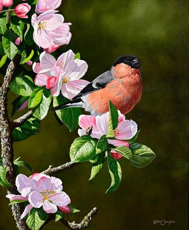 Among the Apple Blossoms (2024)