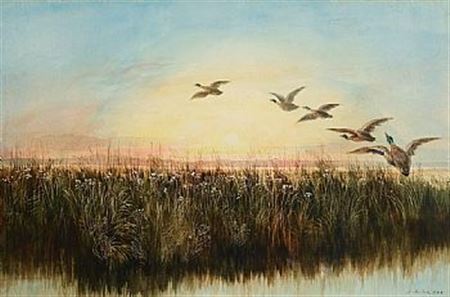 Flight of Mallards