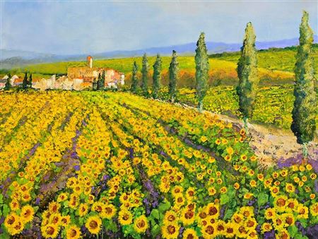 Fields of Sunflowers, St. Remy-de-Provence, France