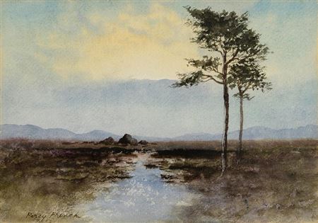A North Antrim Bog