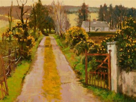 The Drive Way