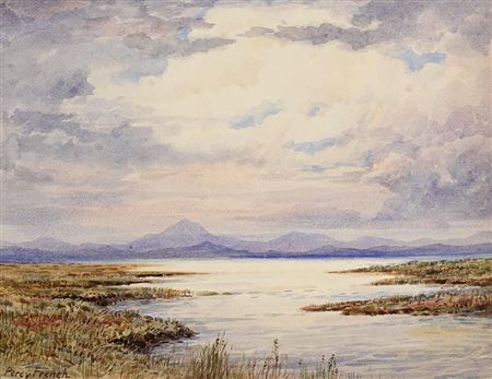 Bog Landscape