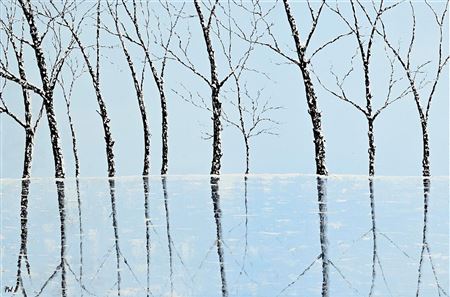 Reflections