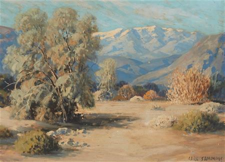 "Smoke Trees Palm Springs"